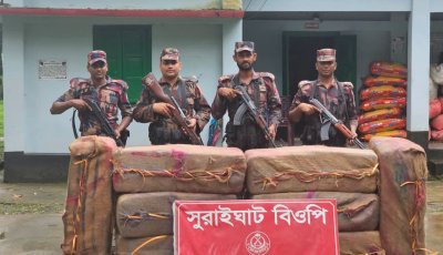 সিলেট সীমান্তে ভারতীয় পণ্য ও বাংলাদেশি রসুনসহ ৫২ লাখ টাকার মালামাল আটক