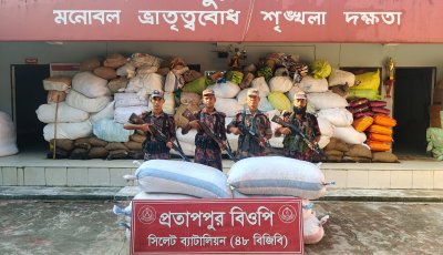 সিলেট সীমান্তে ২৬ লাখ টাকার চোরাচালানী মালামাল আটক