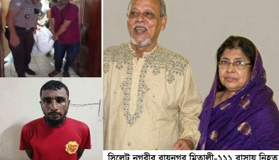 মিতালী-১১১ ট্রিপল মার্ডার: গৃহকর্মীর শরীরে ১৭–১৮ ছুরিকাঘাত, আদালতে বাবুল