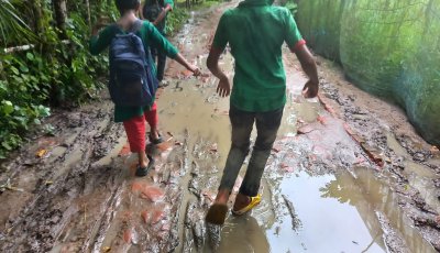 জনদুর্ভোগের চরম সীমা: গাবগাছিয়া-বুরুজবাড়ি সড়ক দ্রুত সংস্কারের দাবি