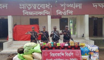 সিলেটের ৮ সীমান্ত এলাকায় বিজিবির অভিযান, আটক ৩০ লাখ টাকার মালামাল