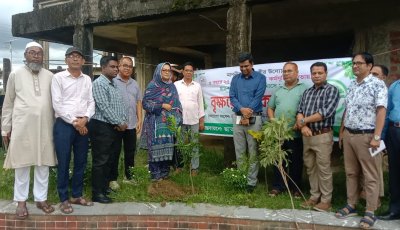ছাতক পৌরসভায় ৬ মাসে এক হাজার বৃক্ষরোপণের উদ্যোগ