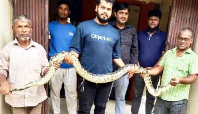 বন উজাড় ও আবাসস্থল সংকটে লোকালয়ে বন্যপ্রাণী, শ্রীমঙ্গলে এক মাসে উদ্ধার ২০