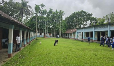 লাখাইয়ের শতবর্ষী রাঢিশাল করাব উচ্চ বিদ্যালয়কে সরকারিকরণের দাবি