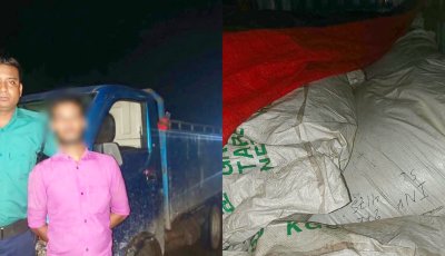 শাহপরাণে সাড়ে ৪ লাখ টাকার ভারতীয় চা-পাতার গুঁড়াসহ পিকআপ আটক, গ্রেপ্তার ১