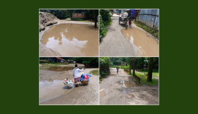 নির্বাচন এলেই প্রতিশ্রুতির বন্যা, নির্বাচন শেষ হলে কি সবই শেষ?