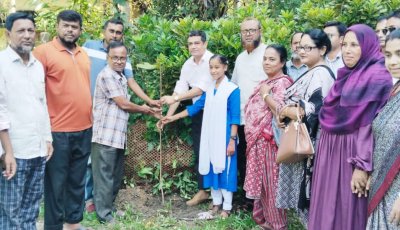 ধর্মপাশা বালিকা উচ্চ বিদ্যালয়ের শিক্ষার মানোন্নয়নে এডহক কমিটির সভা ও বৃক্ষরোপণ