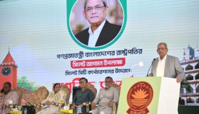 গণতন্ত্র পেয়েছি, রক্ষা করা এখন সবচেয়ে বড় দায়িত্ব: রাষ্ট্রপতি