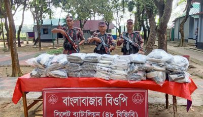 গরু-জিরা-কসমেটিকস থেকে রসুন-তৈরি পোশাক, সীমান্তে আটক ৩৫ লাখের পণ্য