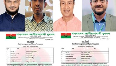 সিলেট যুবদলের জেলা ও মহানগর কমিটি ঘোষণা, নেতৃত্বে যারা