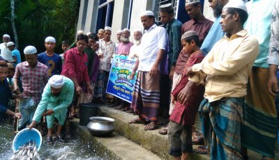 লাউরকুনি কেন্দ্রীয় জামে মসজিদে মাছের পোনা অবমুক্ত