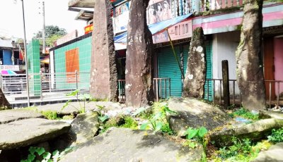হেরি সাহেবের আগমন থেকে রাজা বন্দী—যেভাবে হারাল জৈন্তিয়ার স্বাধীনতা