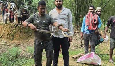 ৯ ফুট গভীর পরিত্যক্ত কুয়ায় তিন দিন আটকে, অক্ষত অবস্থায় উদ্ধার দাঁড়াশ সাপ