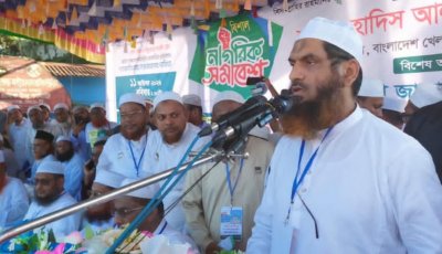 বৈষম্যহীন বাংলাদেশ গড়া না পর্যন্ত জুলাই বিপ্লব চলবে: মামুনুল হক