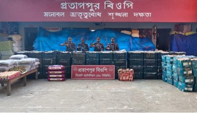 গরু-মহিষ থেকে বাসমতি চাল, সিলেট সীমান্তে ৪৯ লাখ টাকার পণ্য আটক