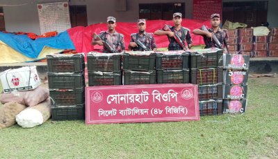 ফলের ক্যারেটে লুকানো ১৬৮ বোতল ভারতীয় মদ, এয়ারগানসহ ১ কোটি ৫৩ লাখ টাকার মালামাল জব্দ