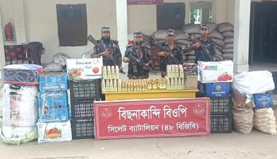 সিলেট সীমান্তে ভারতীয় গরু, ফলমূল ও নিত্যপণ্যসহ সাড়ে ৪৬ লাখ টাকার মালামাল আটক