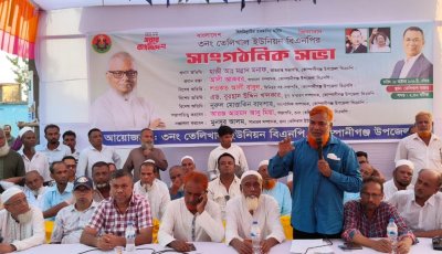 তেলিখাল ইউনিয়ন বিএনপির সাংগঠনিক সভা সম্পন্ন, সমর্থন প্রত্যাশী ৪০ জন