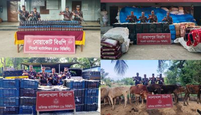 সিলেট সীমান্তে ৬১ লাখ টাকার চোরাচালানি পণ্য জব্দ করল বিজিবি
