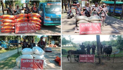 সিলেট সীমান্তে ভারতীয় জিরা ও পিকআপ উদ্ধার, জব্দ চিনি-চা-পাতা ও গবাদিপশুও