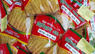 জগন্নাথপুরে সরকারি বোরো বীজ বিতরণে বিলম্বের অভিযোগ, বেশি দামে বীজ কিনছেন কৃষক
