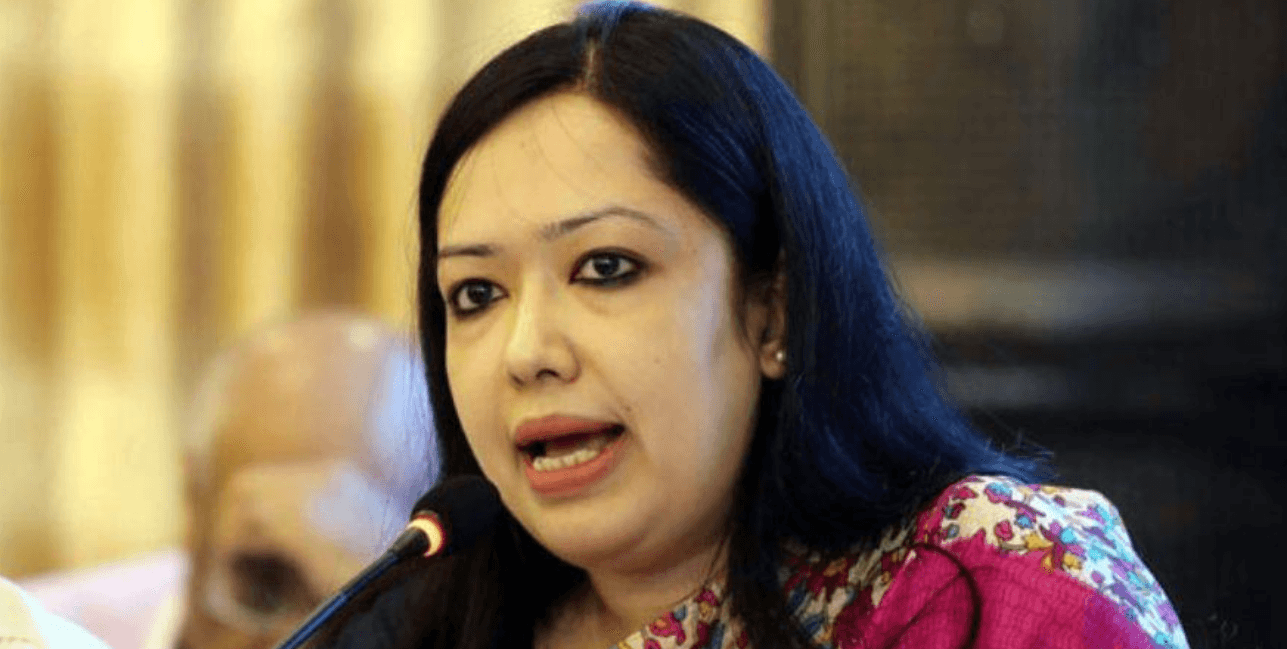 মনোনয়ন না পাওয়া নিয়ে মুখ খুললেন রুমিন ফারহানা
