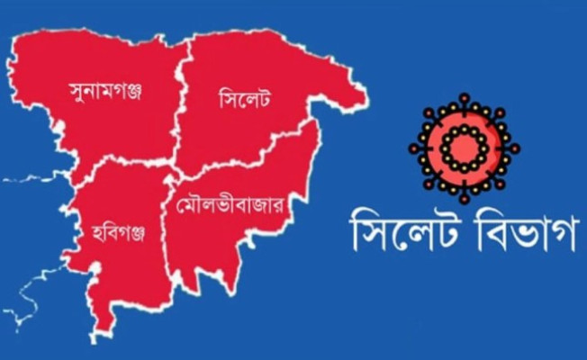 সিলেটে এক মাসে ডেঙ্গুর সংক্রমণে অর্ধশতাধিক আক্রান্ত