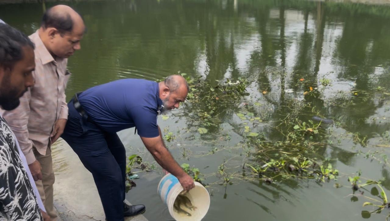 ছাতকের ‘তারা বিলের’ মুক্ত জলাশয়ে পোনা মাছ অবমুক্ত