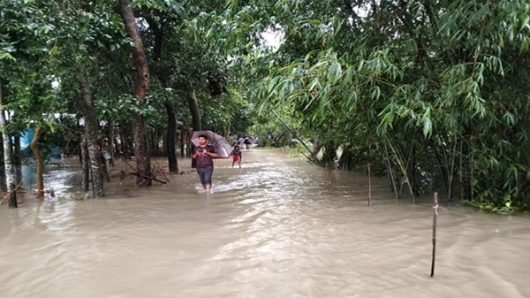 কানাইঘাটে কুশিয়ারা পানিতে বন্দী হাজারো মানুষ