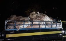 কানাইঘাটে ১১৬১ বস্তা ভারতীয় চিনি উদ্ধার, আটক ১
