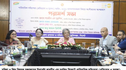 নারীর প্রতি সহিংসতা সামজিক ব্যাধি– উপদেষ্টা শারমীন এস মুরশিদ