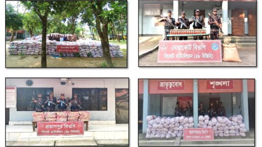 সিলেটের সীমান্তে ২ কোটি টাকার অবৈধ পণ্য জব্দ