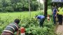 শায়েস্তাগঞ্জে ট্রাক চাপায় এক যুবক নিহত