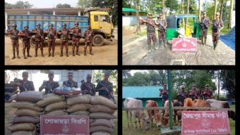 সীমান্তে বিজিবির অভিযানে ৬৪ লাখ টাকার চোরাই চিনি ও গরু জব্দ