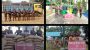 সীমান্তে বিজিবির অভিযানে ৬৪ লাখ টাকার চোরাই চিনি ও গরু জব্দ