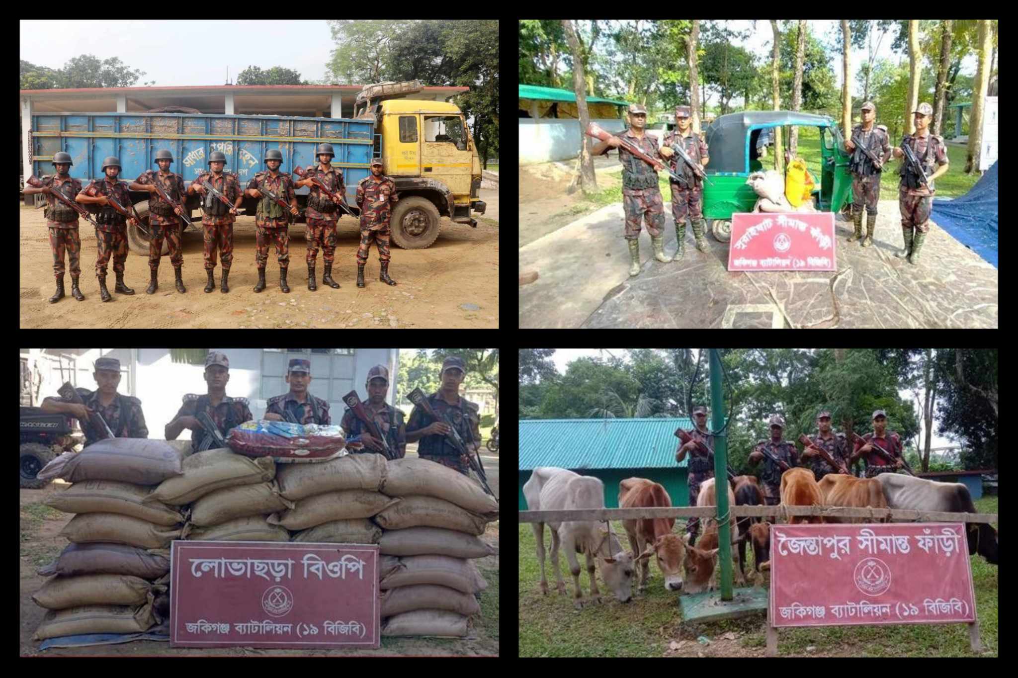 সীমান্তে বিজিবির অভিযানে ৬৪ লাখ টাকার চোরাই চিনি ও গরু জব্দ