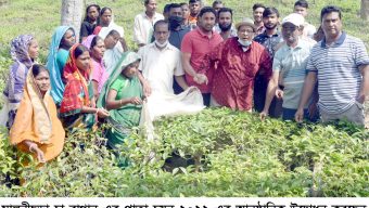 মালনীছড়া ও হিলুয়াছড়া চা বাগানে চা পাতা চয়নের উদ্বোধন করলেন দানবীর ড. রাগীব আলী