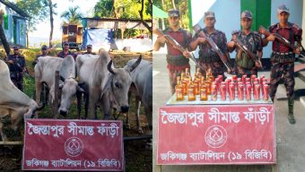 জৈন্তাপুরে বিজিবির অভিযানে ভারতীয় গরু ও মদ উদ্ধার 