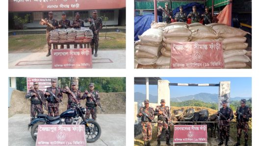 রয়েল এনফিল্ডসহ কোটি টাকার ভারতীয় চোরাই পণ্য জব্দ করেছে বিজিবি
