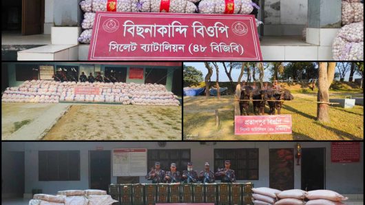 সিলেট- সুনামগঞ্জ সীমান্তে বিজিবির অভিযানে ৯৯ লক্ষ টাকার চোরাই পন্য জব্দ 