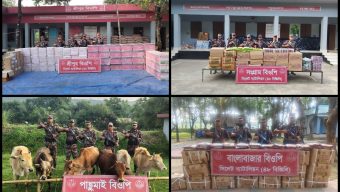 সিলেট সীমান্তে বিজিবি’র অভিযানে আবারও গরুসহ আড়াই টাকার পণ্য জব্দ