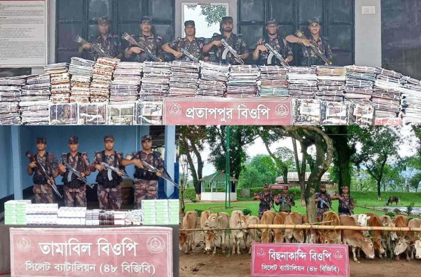সিলেট সীমান্তে বিজিবি অভিযানে দেড় কুটি টাকার ভারতীয় চোরাই পন্য জব্দ