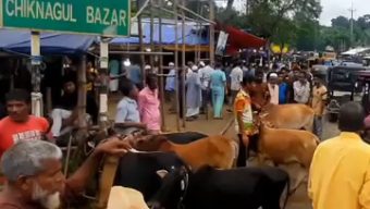 জৈন্তাপুরে পশুর হাটের জন্য দরপত্র আহ্বান- চিকনাগুল বাজারে সর্বোচ্চ দরদাতা যারা