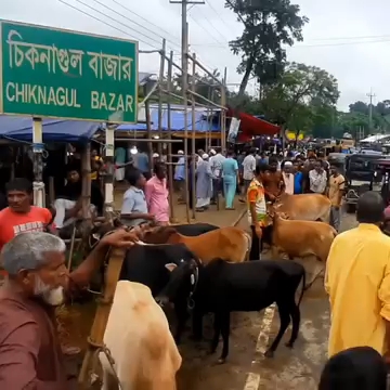 জৈন্তাপুরে পশুর হাটের জন্য দরপত্র আহ্বান- চিকনাগুল বাজারে সর্বোচ্চ দরদাতা যারা