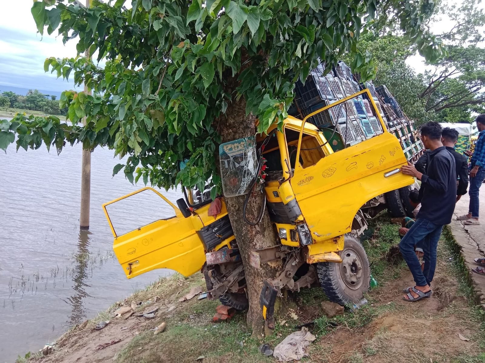 প্রাণপণ চেষ্টা করেও বাঁচানো গেলোনা গরুটি দোয়ারাবাজারে সড়ক দূর্ঘটনায় আহত ৪