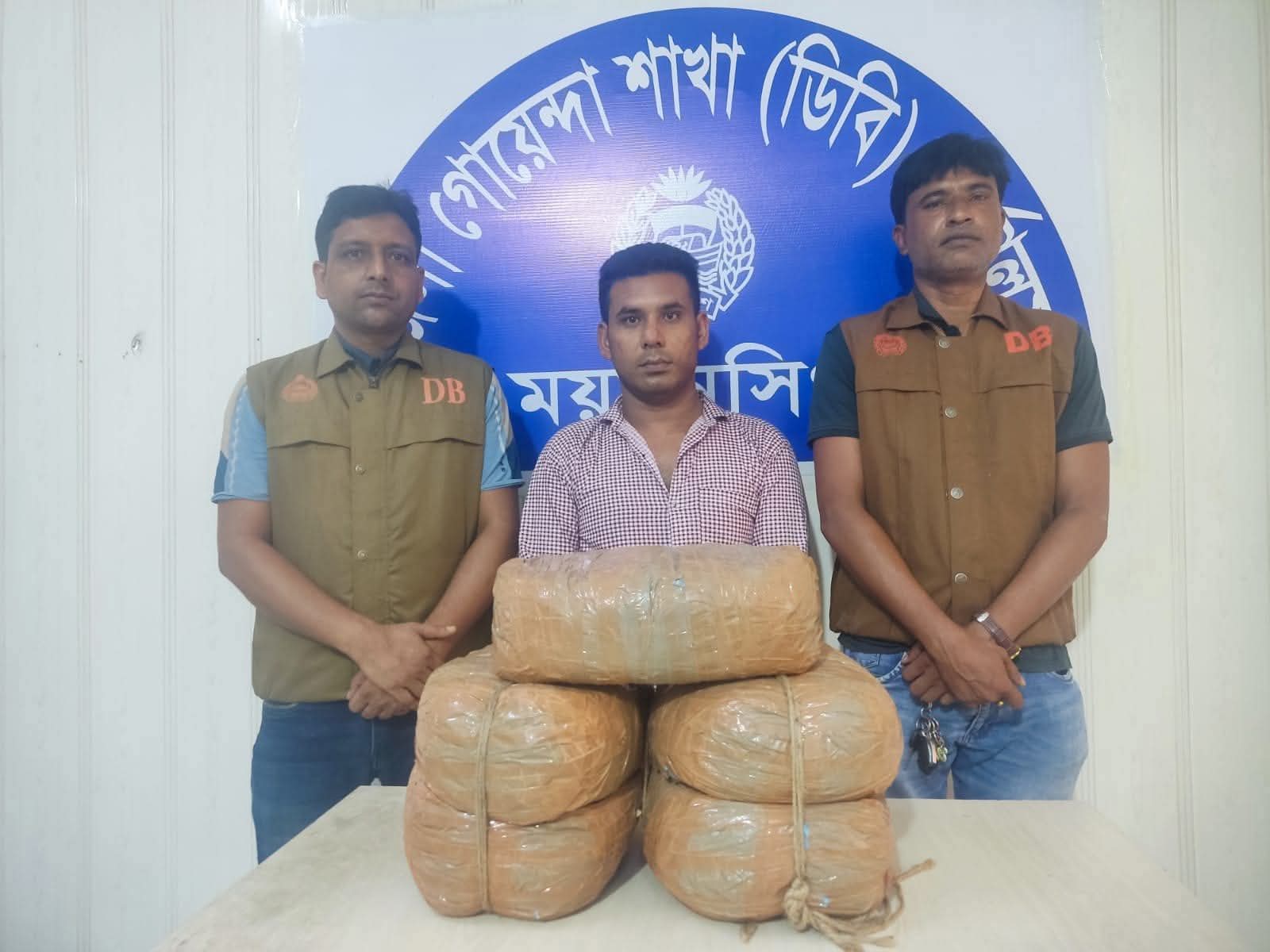 ভালুকায় ডিবি পুলিশের বিশেষ অভিযানে ১০ কেজি গাঁজাসহ আটক ১