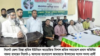 ন্যায় ইনসাফ ও মানবিক দেশ গঠনে   জামায়াতে ইসলাম কাজ করছে  :. মাওলানা হাবিবুর রহমান