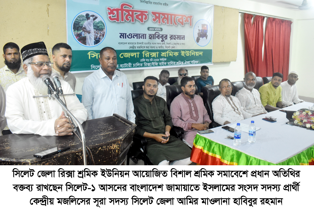 ন্যায় ইনসাফ ও মানবিক দেশ গঠনে   জামায়াতে ইসলাম কাজ করছে  :. মাওলানা হাবিবুর রহমান