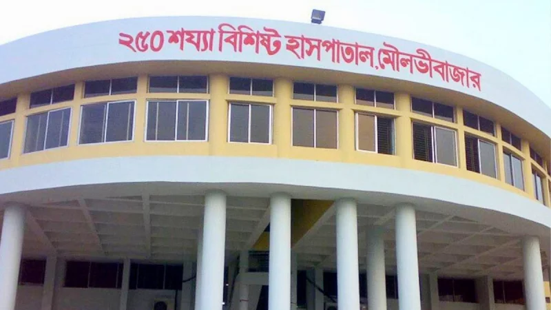 শ্রীমঙ্গলে সেপটিক ট্যাংকে নেমে আপন দুই ভাইসহ ৪ তরুণের মর্মান্তিক মৃত্যু
