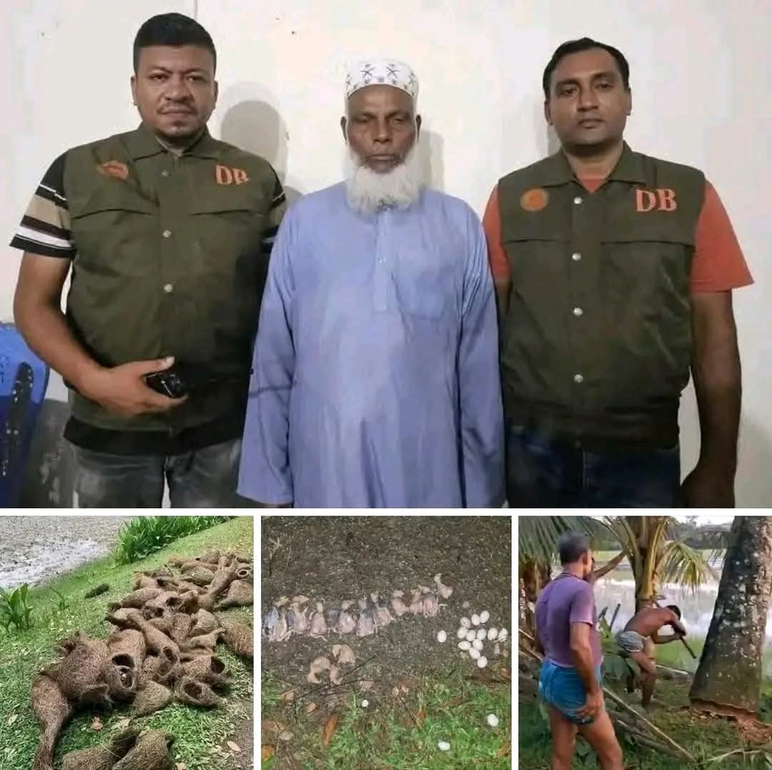 ঝালকাঠিতে বাবুই পাখির ছানা হত্যায় প্রধান অভিযুক্ত গ্রেফতার